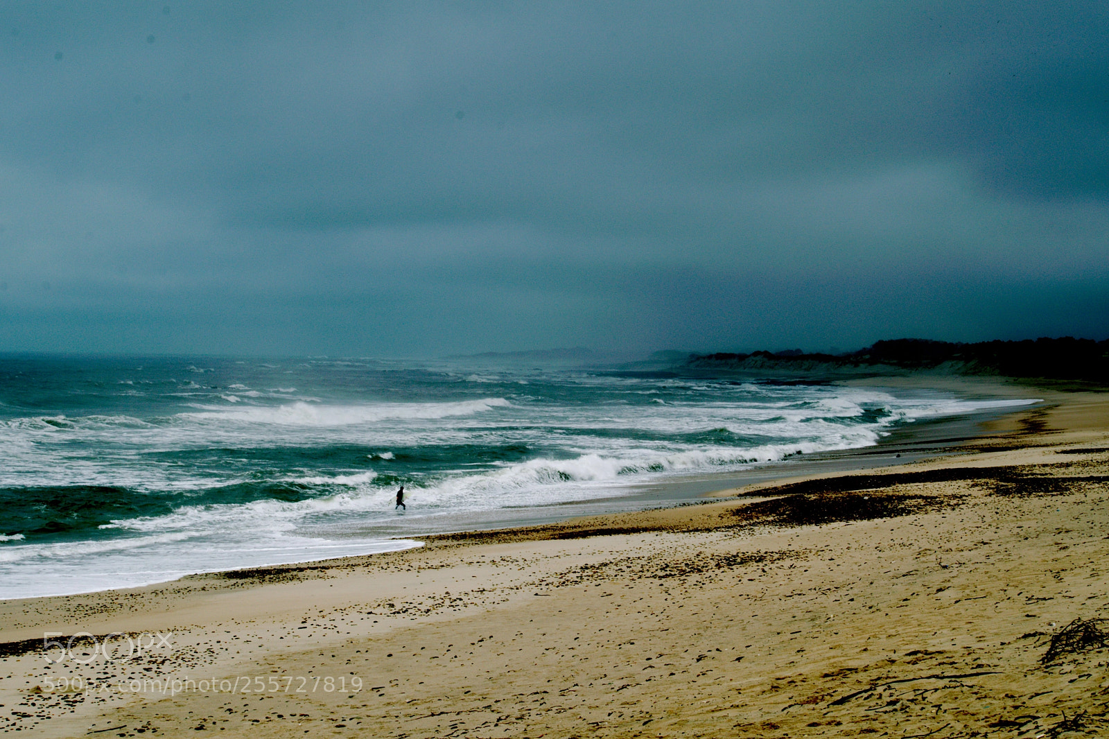Nikon D5300 sample photo. Coming out of the photography