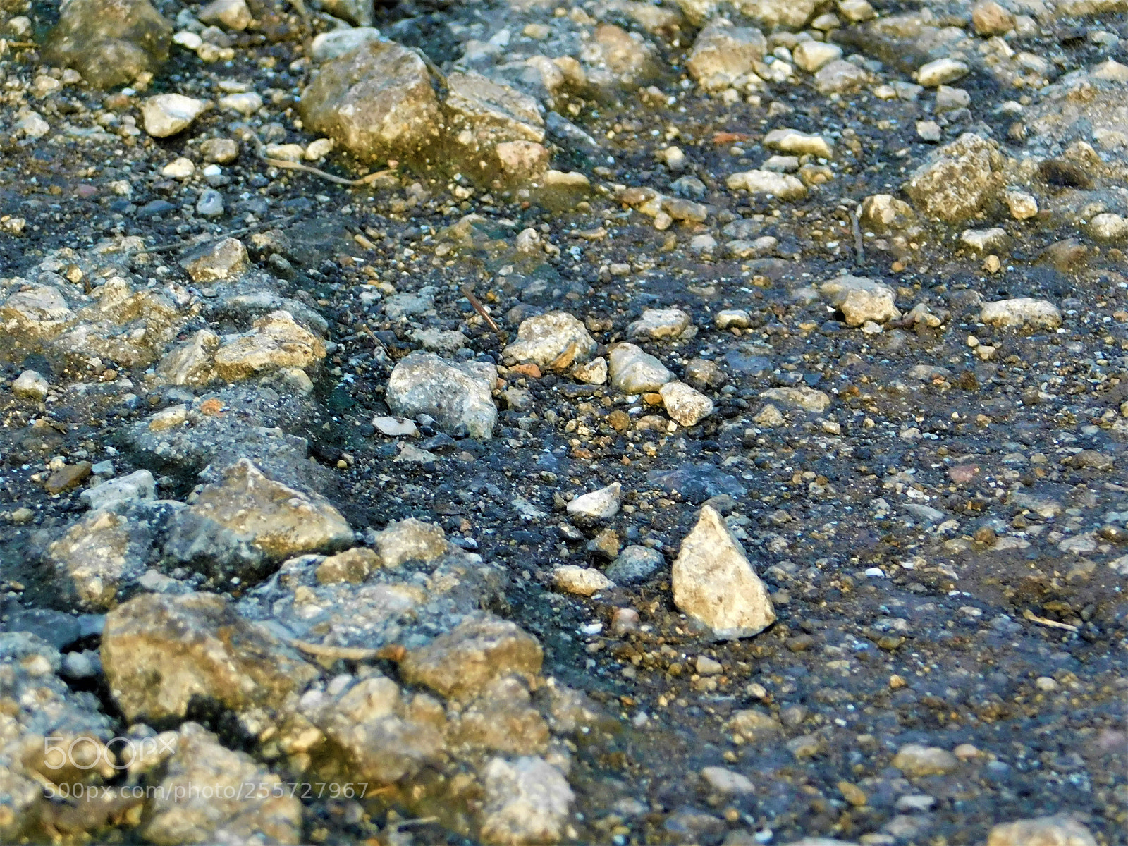 Nikon Coolpix B500 sample photo. () photography