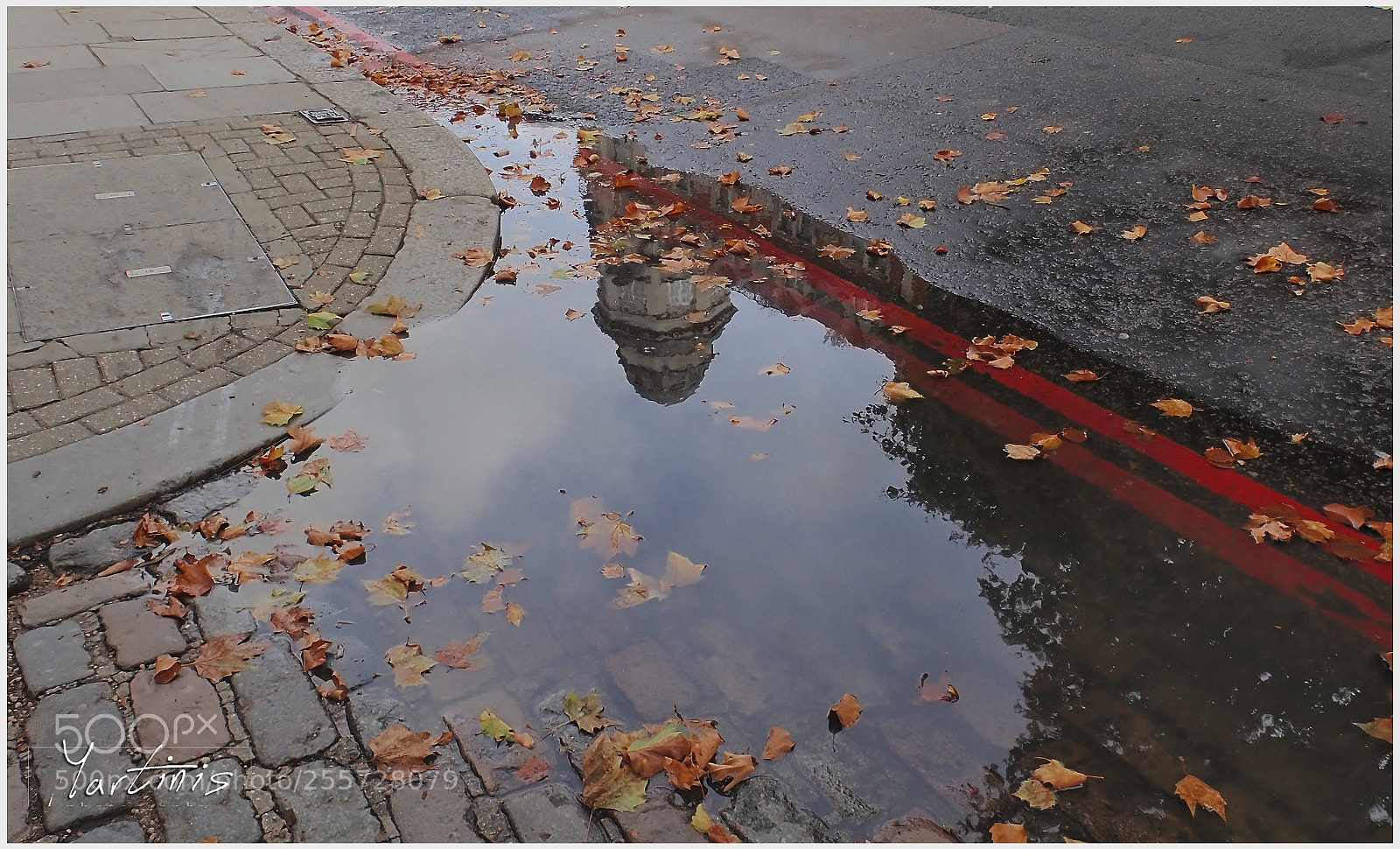 Nikon D5300 sample photo. After the rain photography