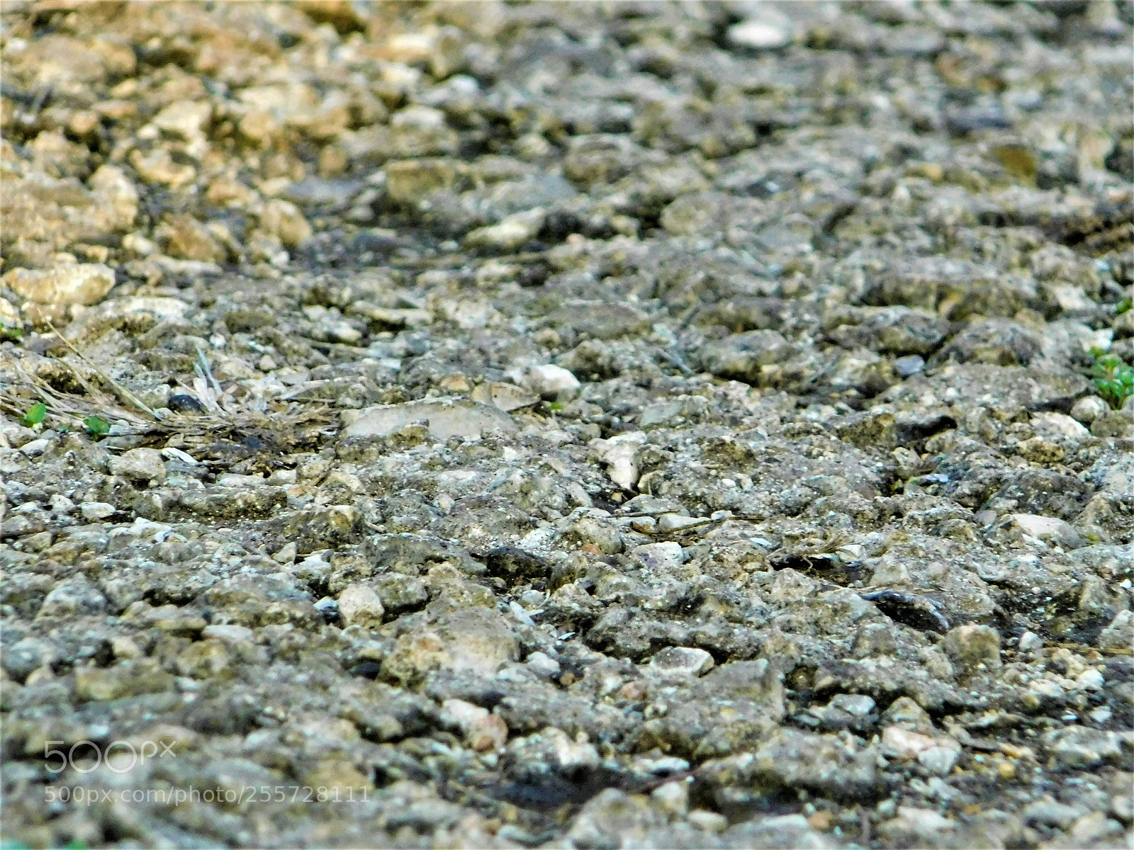 Nikon Coolpix B500 sample photo. () photography