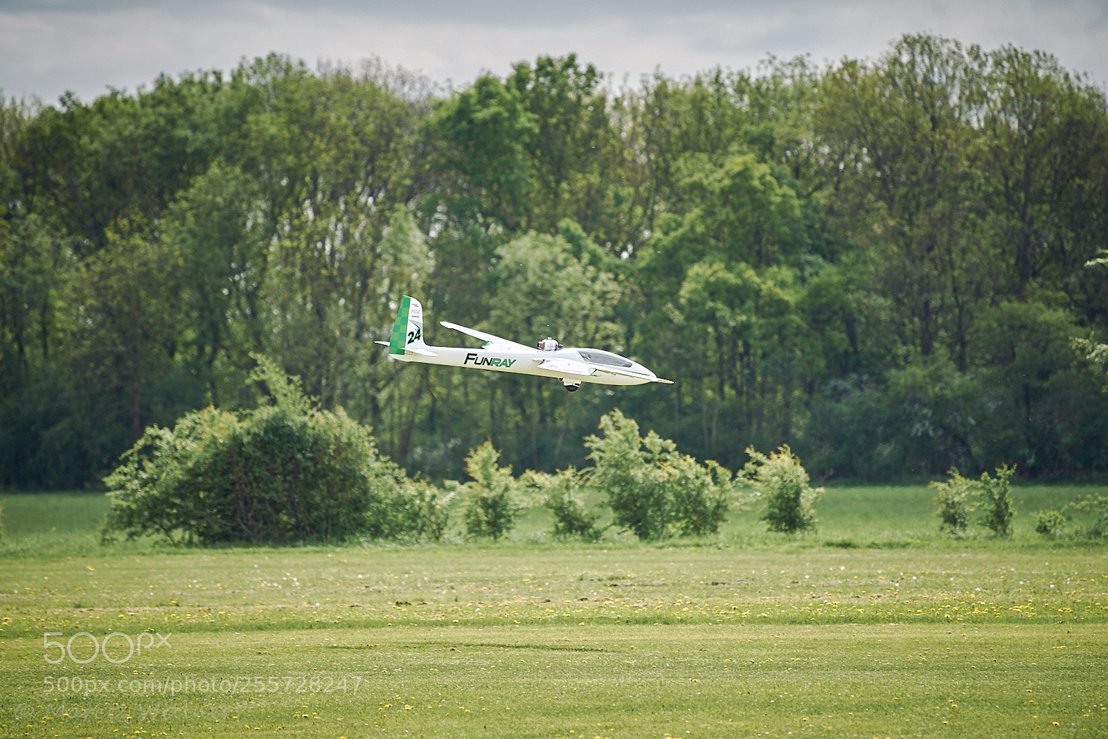 Sony a7 II sample photo. Pro wing photography
