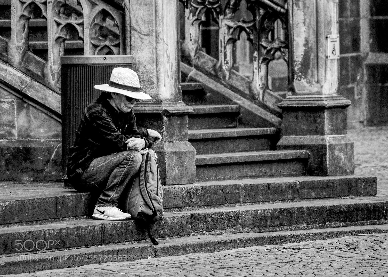 Canon EOS 80D sample photo. Taking a rest .... photography