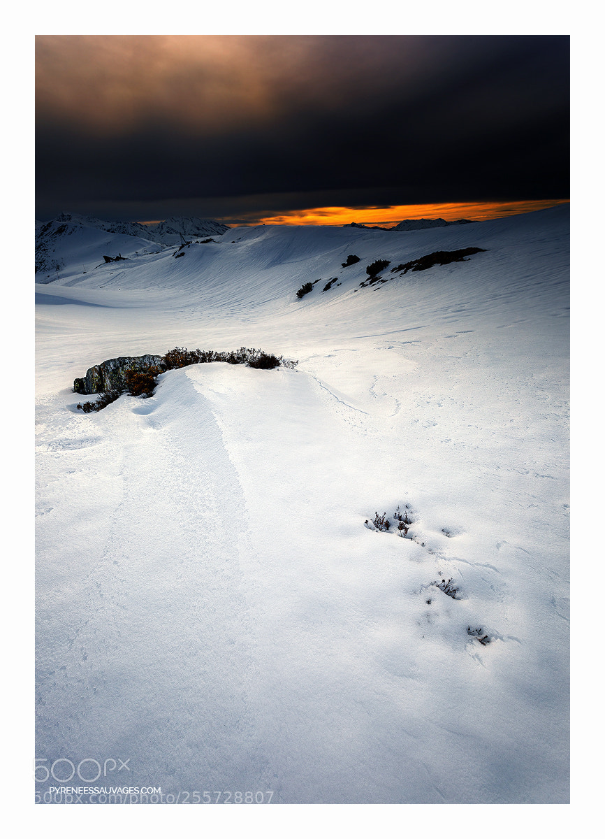 Canon EOS 5D Mark IV sample photo. World's end photography