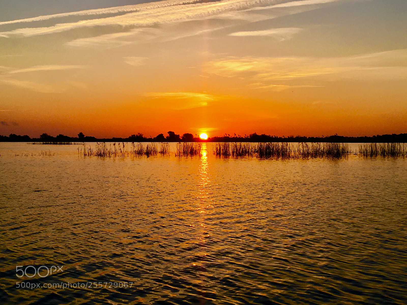 Apple iPhone SE sample photo. Danube delta sunrise  photography