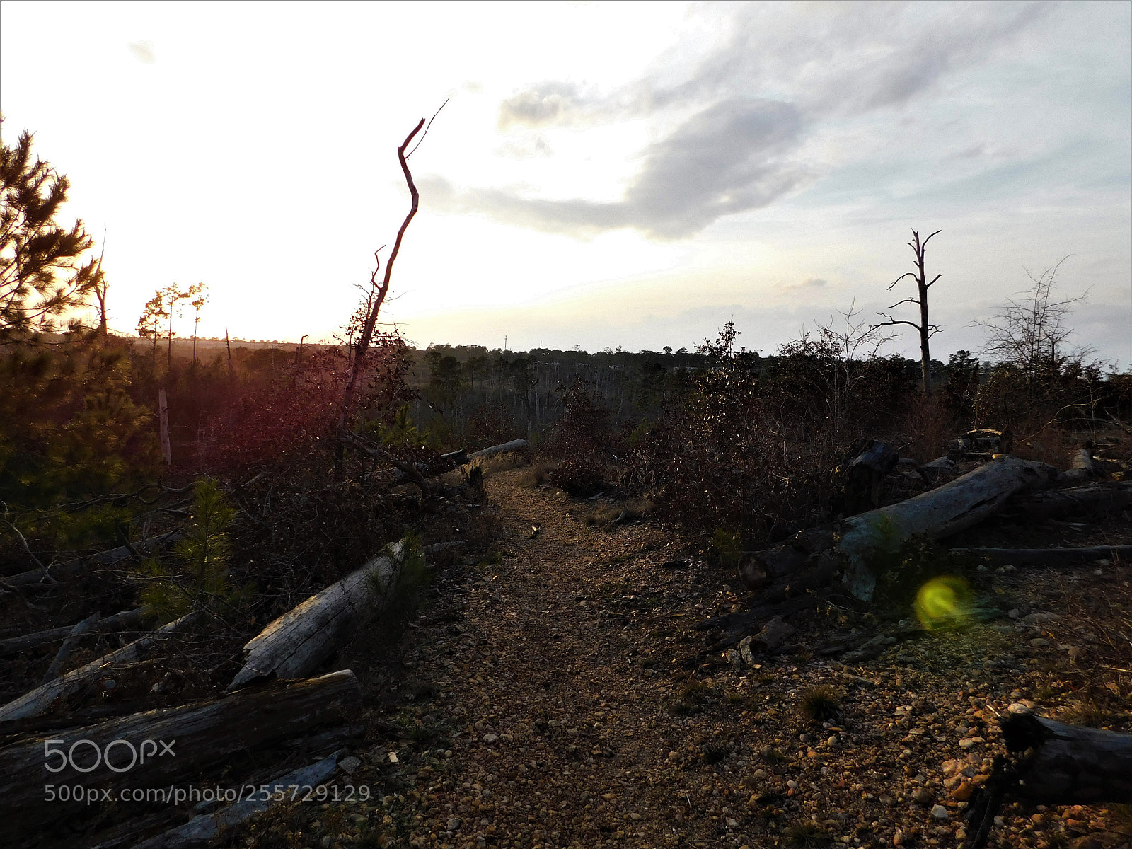 Nikon Coolpix B500 sample photo. () photography
