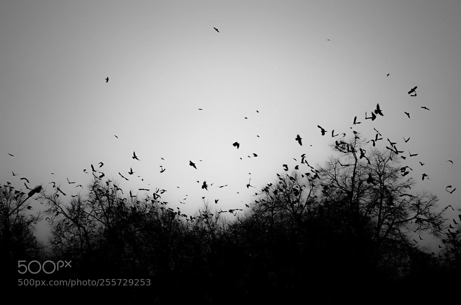 Nikon D5100 sample photo. Untitled photography