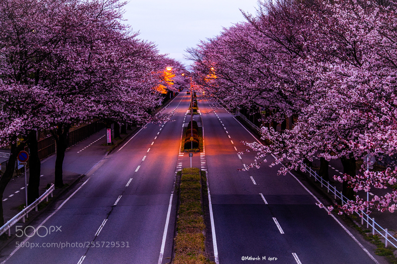 Nikon D5300 sample photo. Road with colors photography