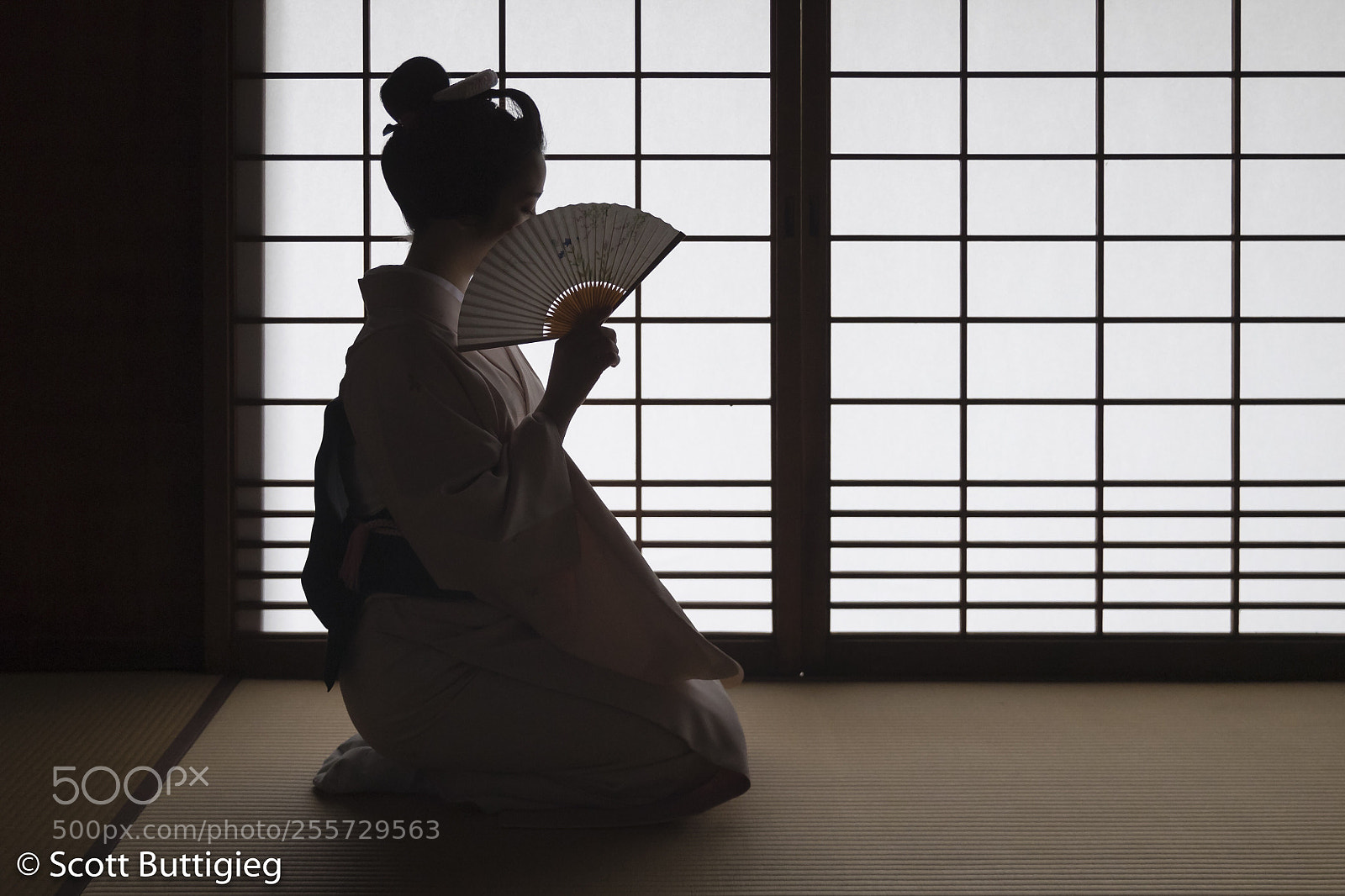 Canon EOS-1D X Mark II sample photo. Artist  photography