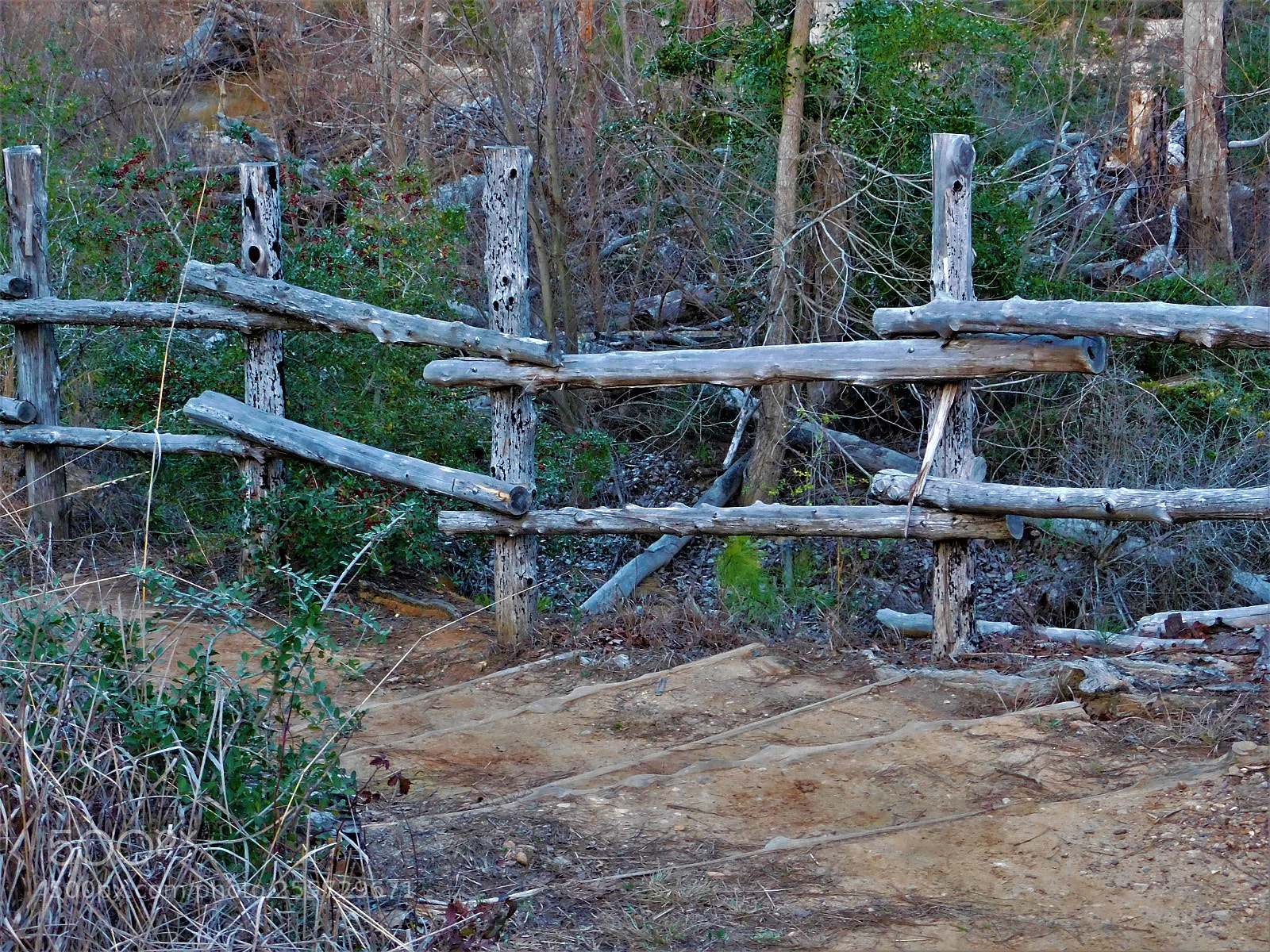 Nikon Coolpix B500 sample photo. () photography