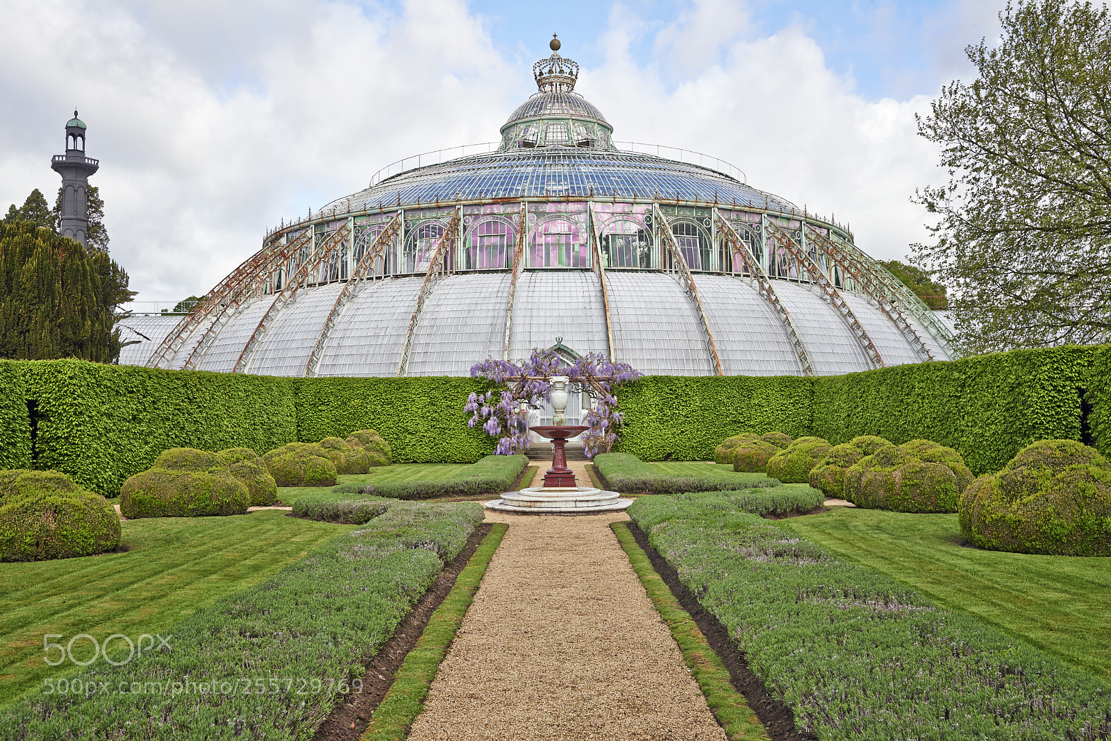 Nikon D800E sample photo. The royal greenhouses of photography