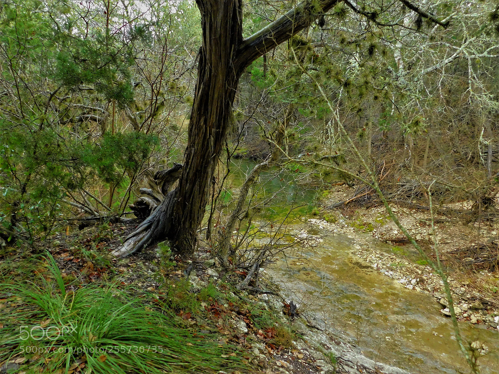 Nikon Coolpix B500 sample photo. () photography