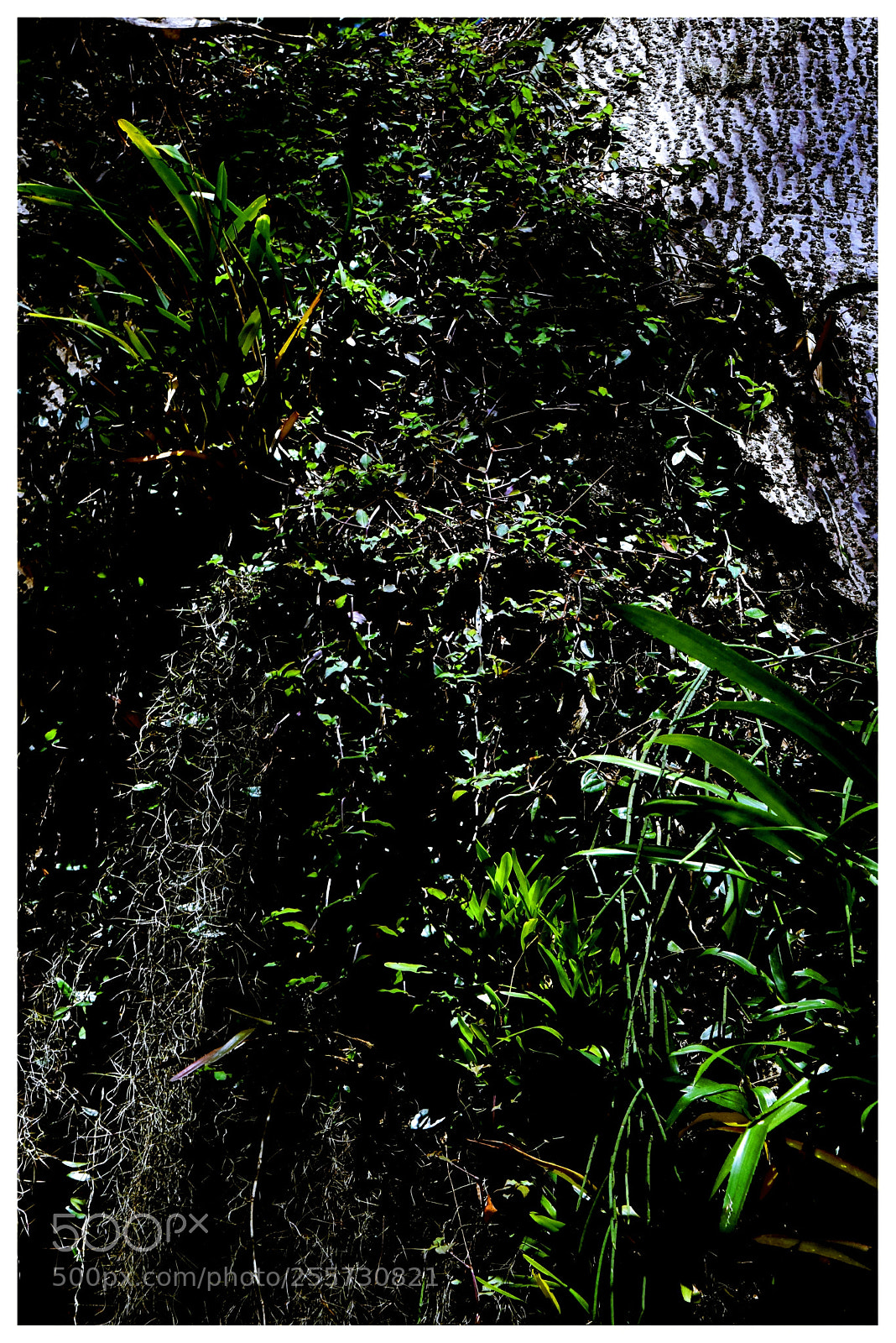 Nikon D5300 sample photo. ... photography