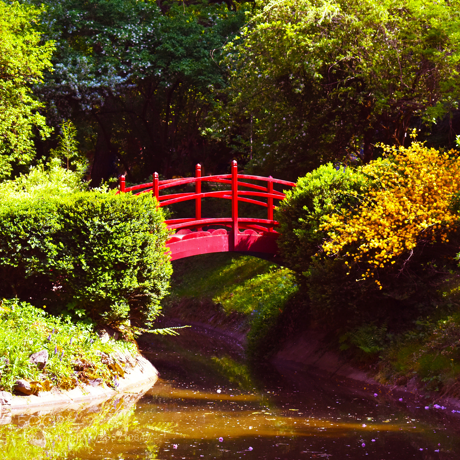 Nikon D3400 sample photo. Red bridge photography