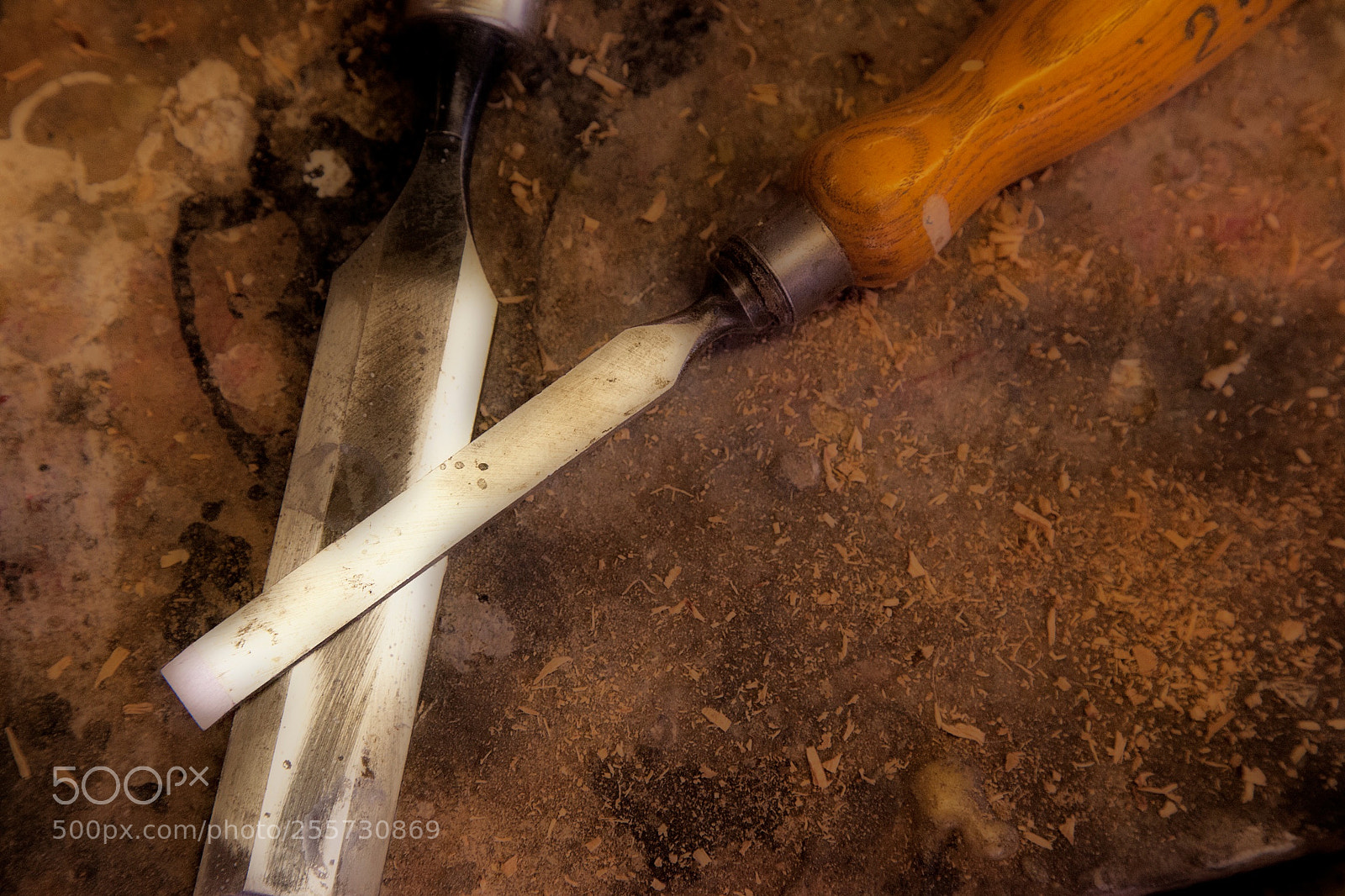 Canon EOS 5D Mark II sample photo. Two chisels photography