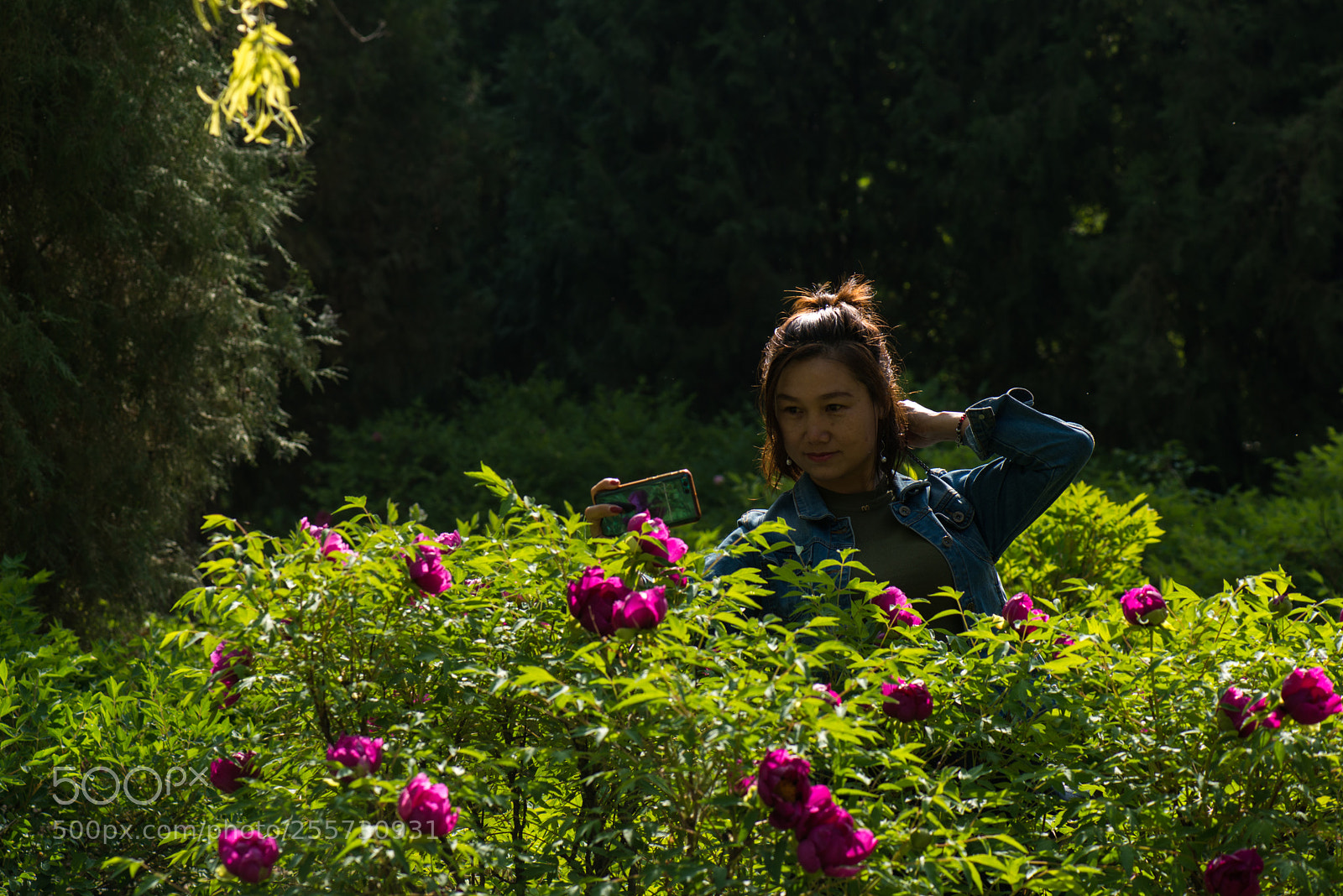 Nikon D800E sample photo. Shoot peony photography