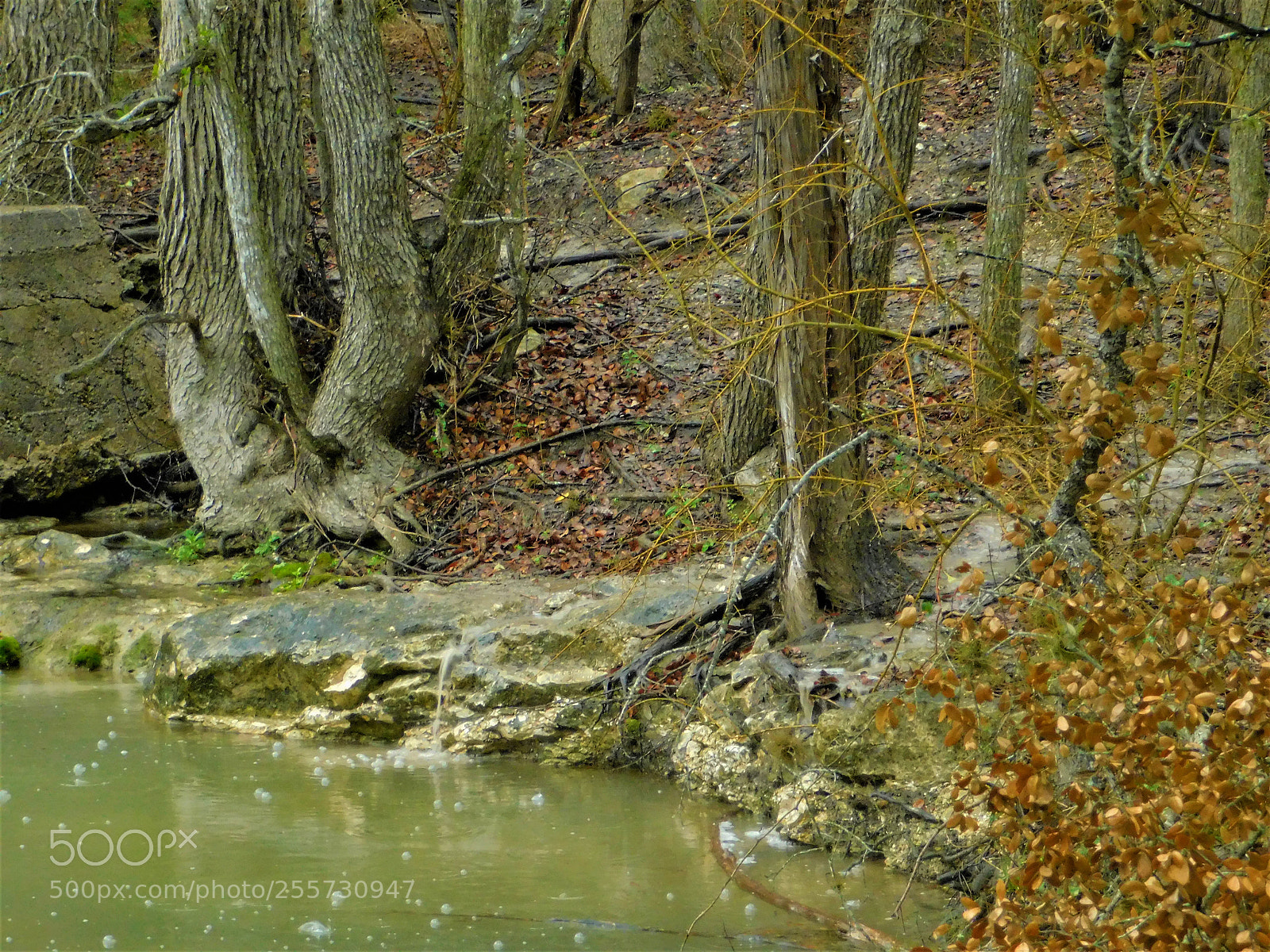 Nikon Coolpix B500 sample photo. () photography