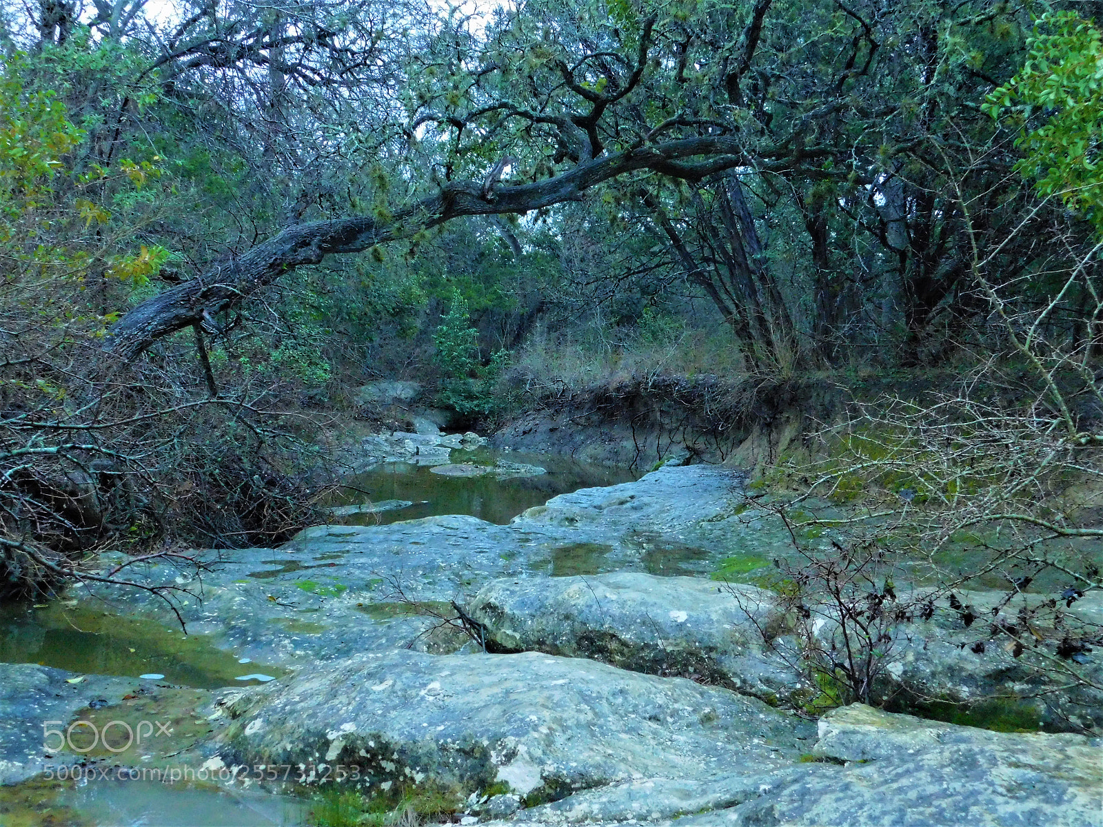 Nikon Coolpix B500 sample photo. () photography