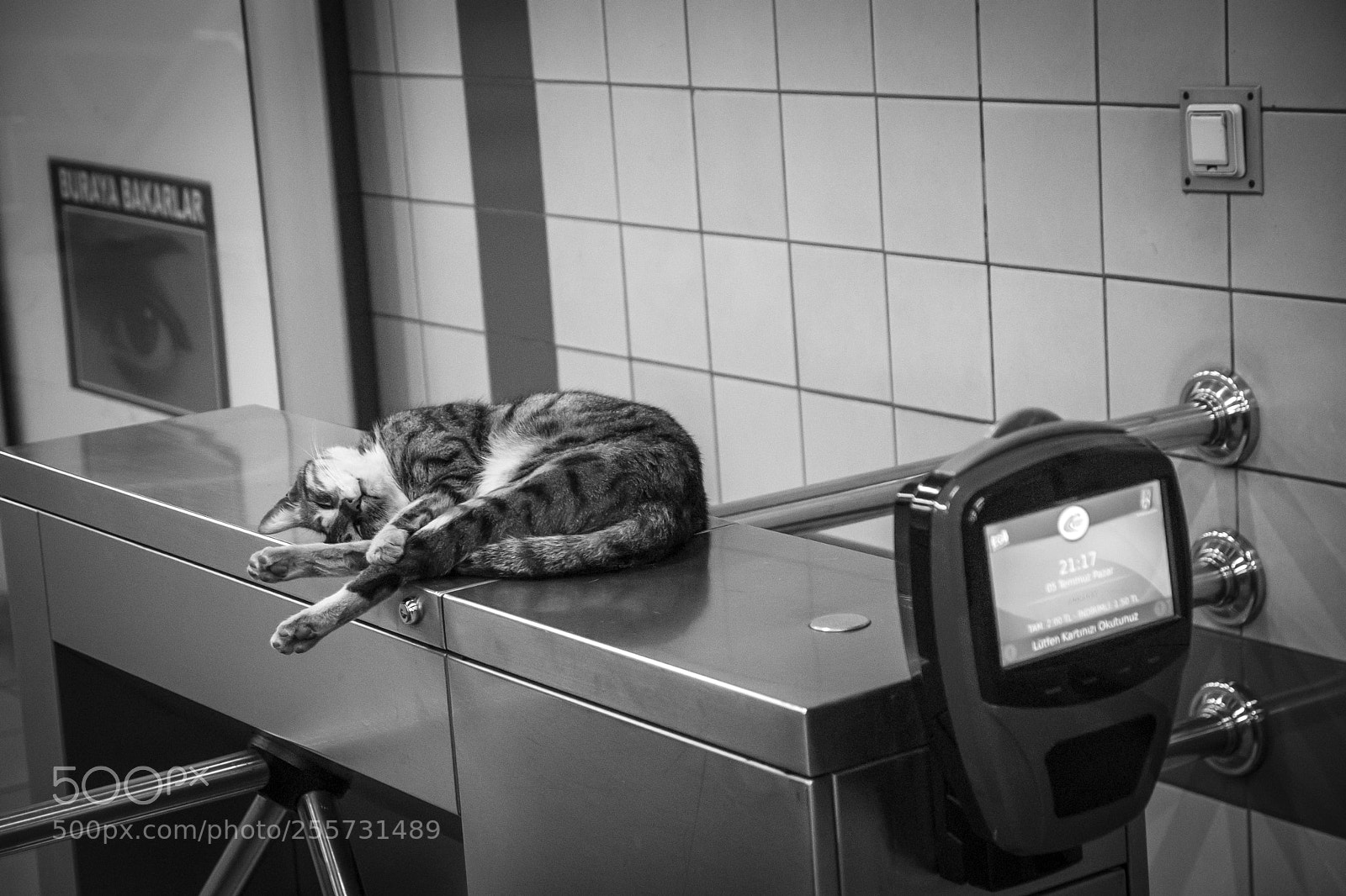 Sony Alpha DSLR-A200 sample photo. Train security photography