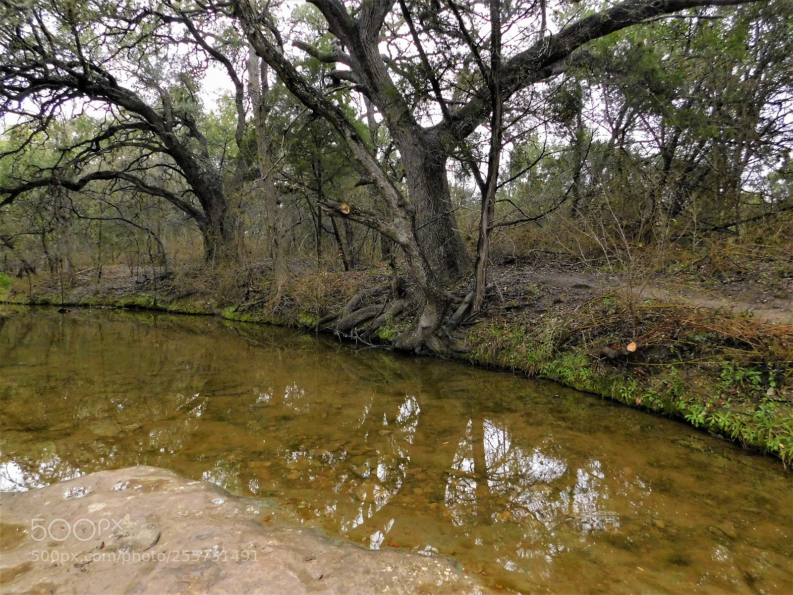 Nikon Coolpix B500 sample photo. () photography
