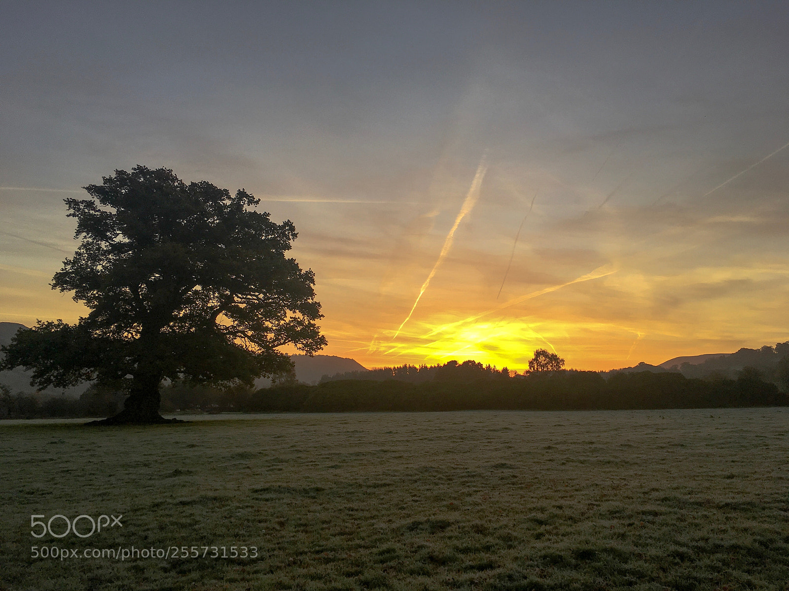 Apple iPhone 6s sample photo. Morning glow photography