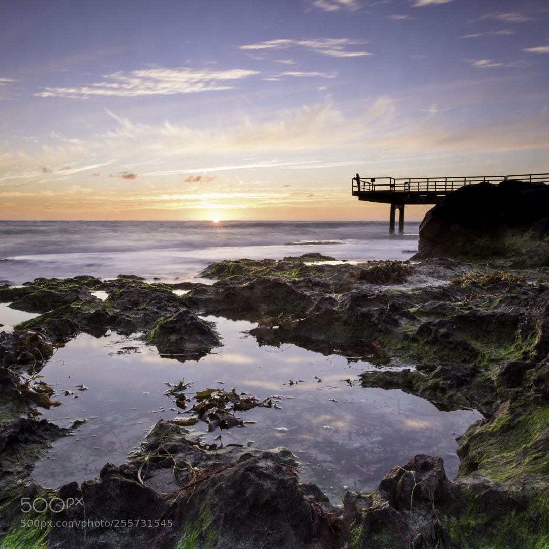 Canon EOS 5D Mark IV sample photo. Jetty perfection photography