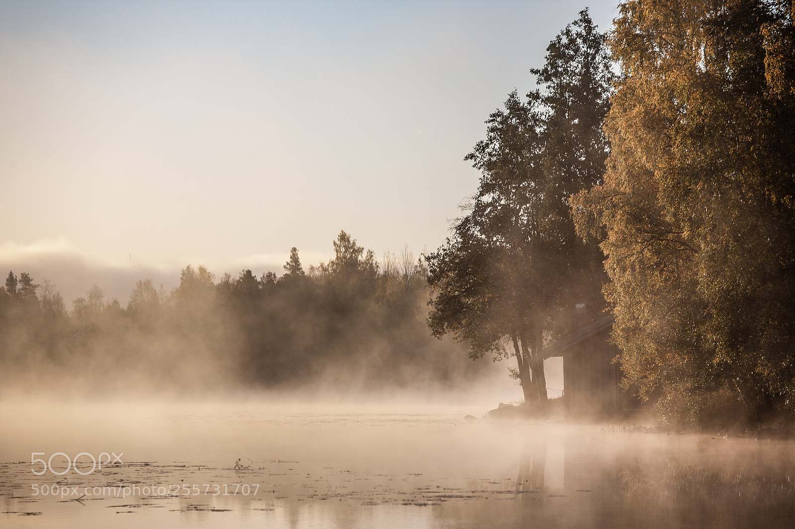 Canon EOS 5D sample photo. Fog photography