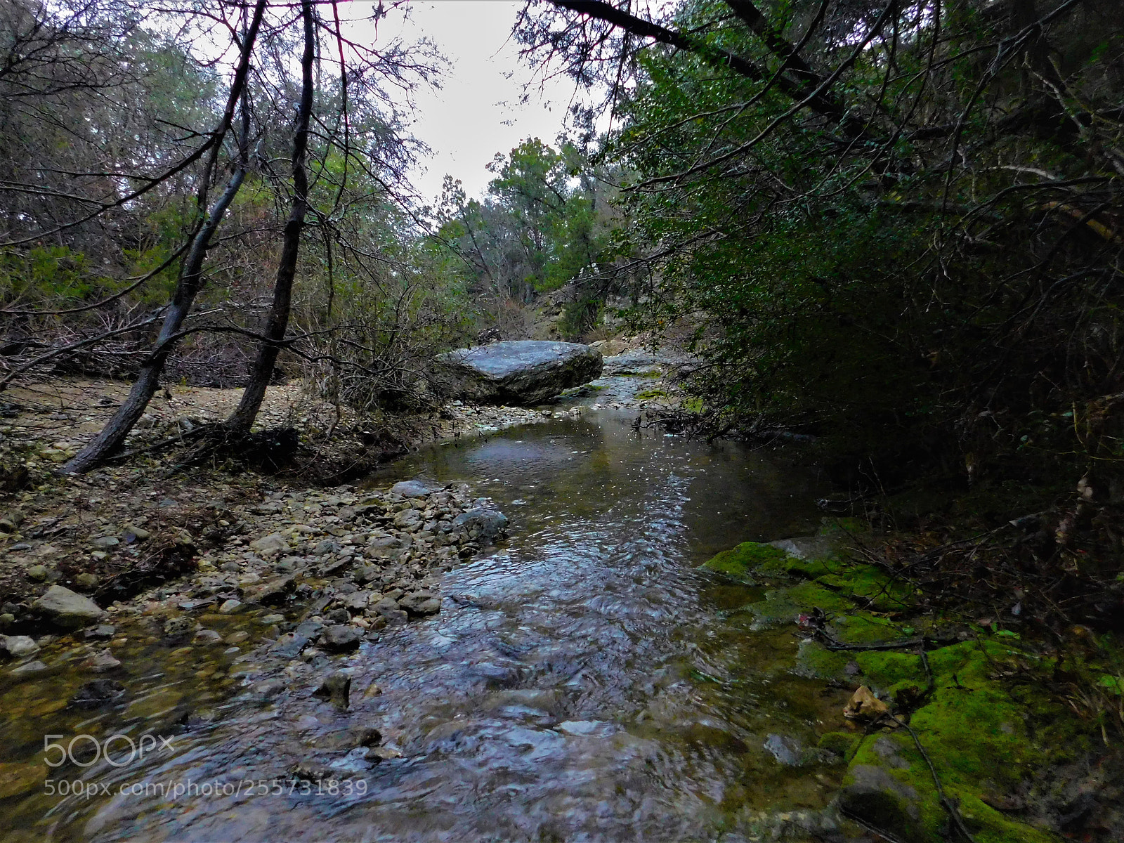 Nikon Coolpix B500 sample photo. () photography