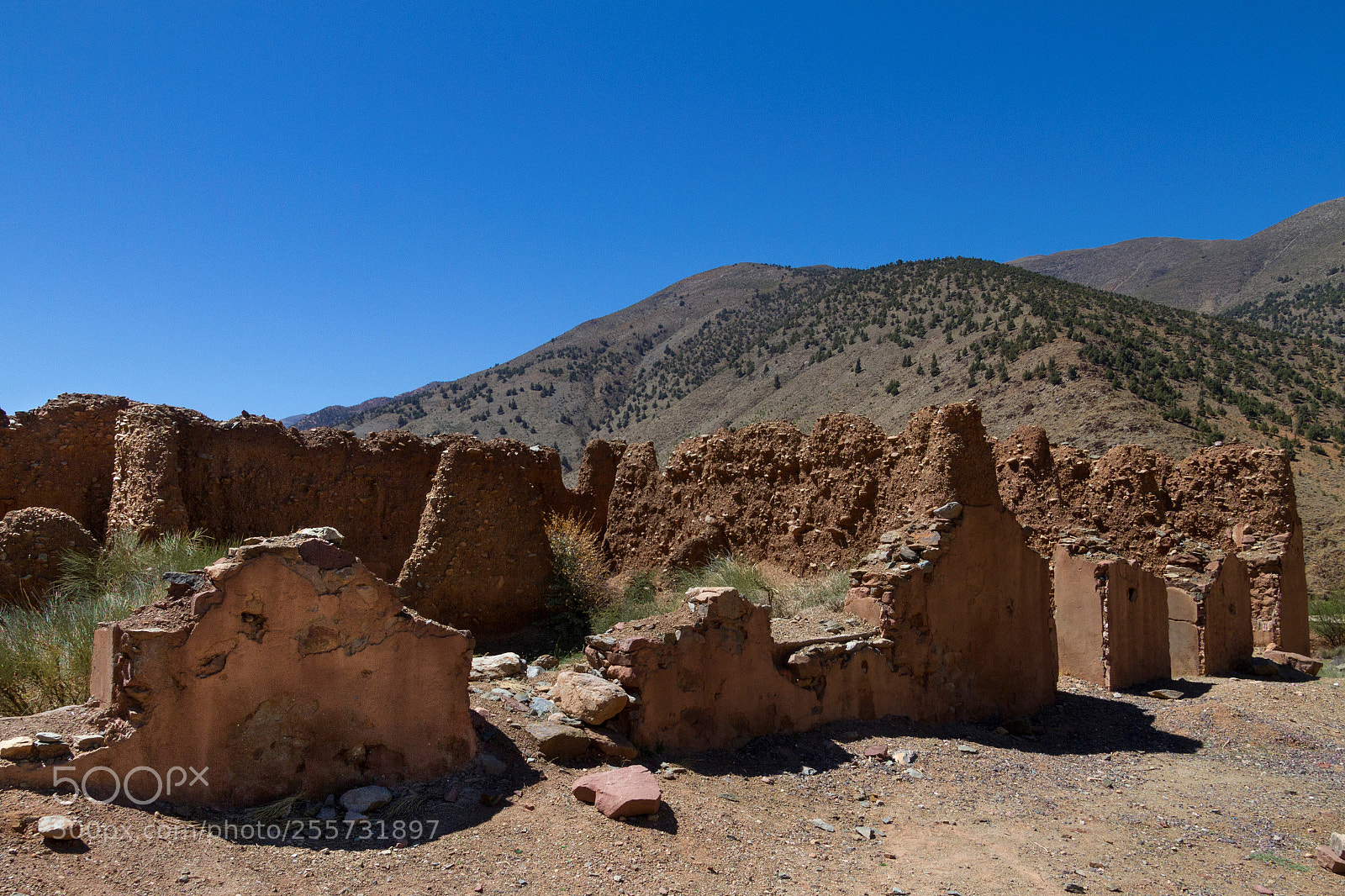 Canon EOS 7D sample photo. 2018-3812.jpg photography