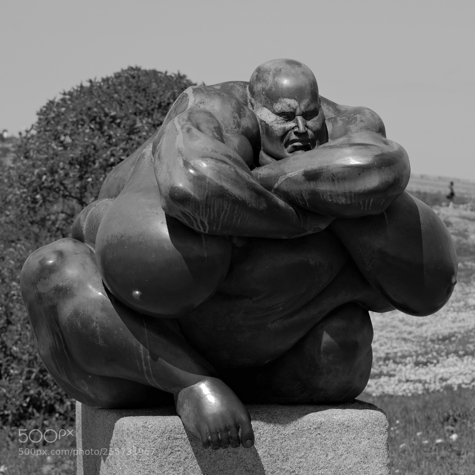 Nikon D5300 sample photo. Escultura ramón conde photography