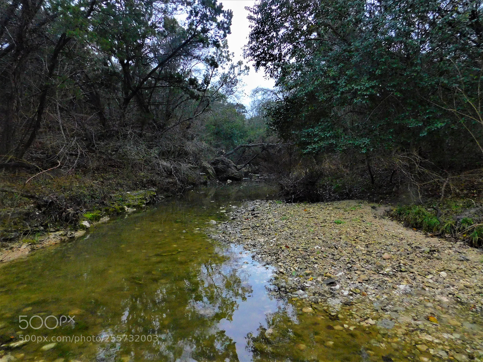 Nikon Coolpix B500 sample photo. () photography