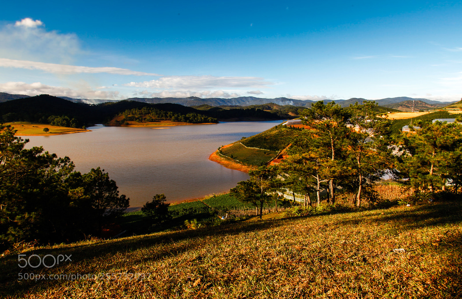 Canon EOS 5D Mark II sample photo. Lonely tree photography