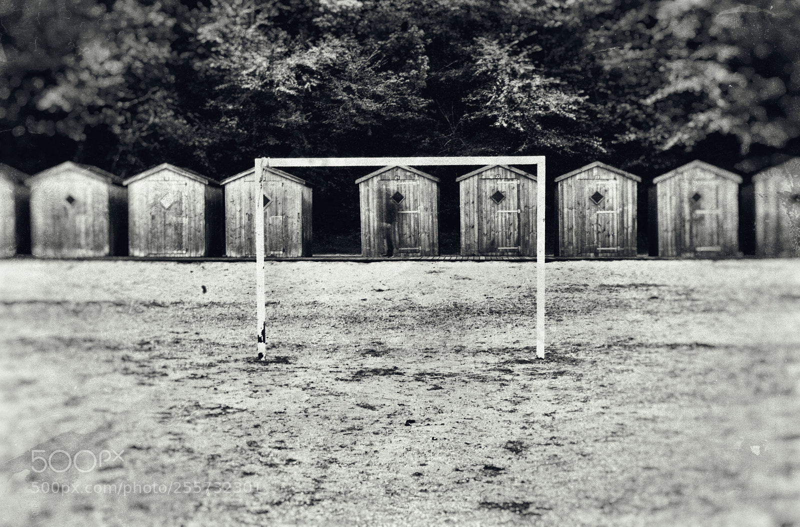 Nikon D7100 sample photo. Le passant... photography