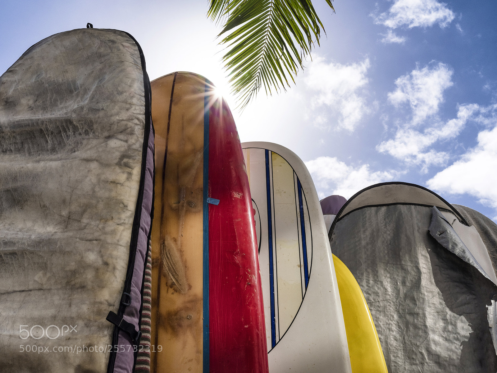 Fujifilm GFX 50S sample photo. Surf board photography