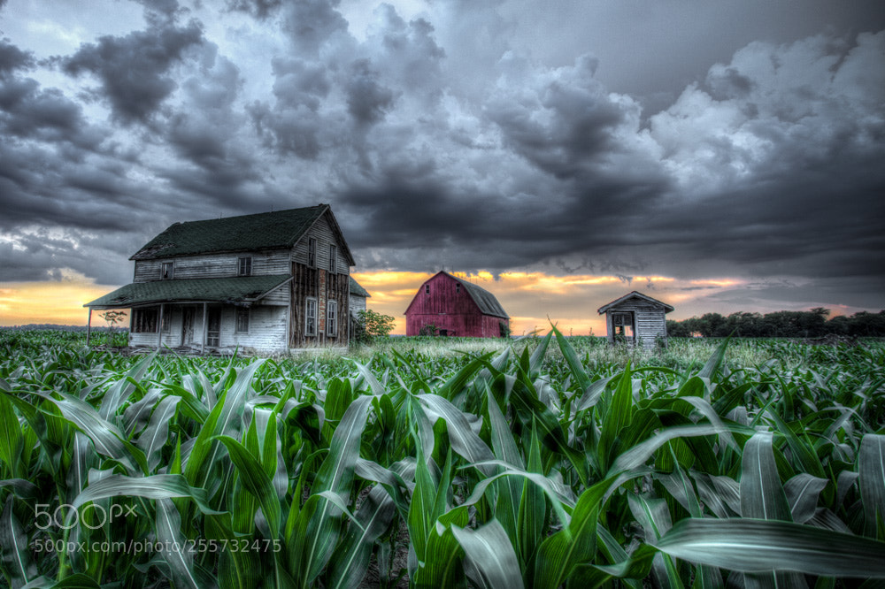 Canon EOS 5D Mark II sample photo. Stormy sunset photography