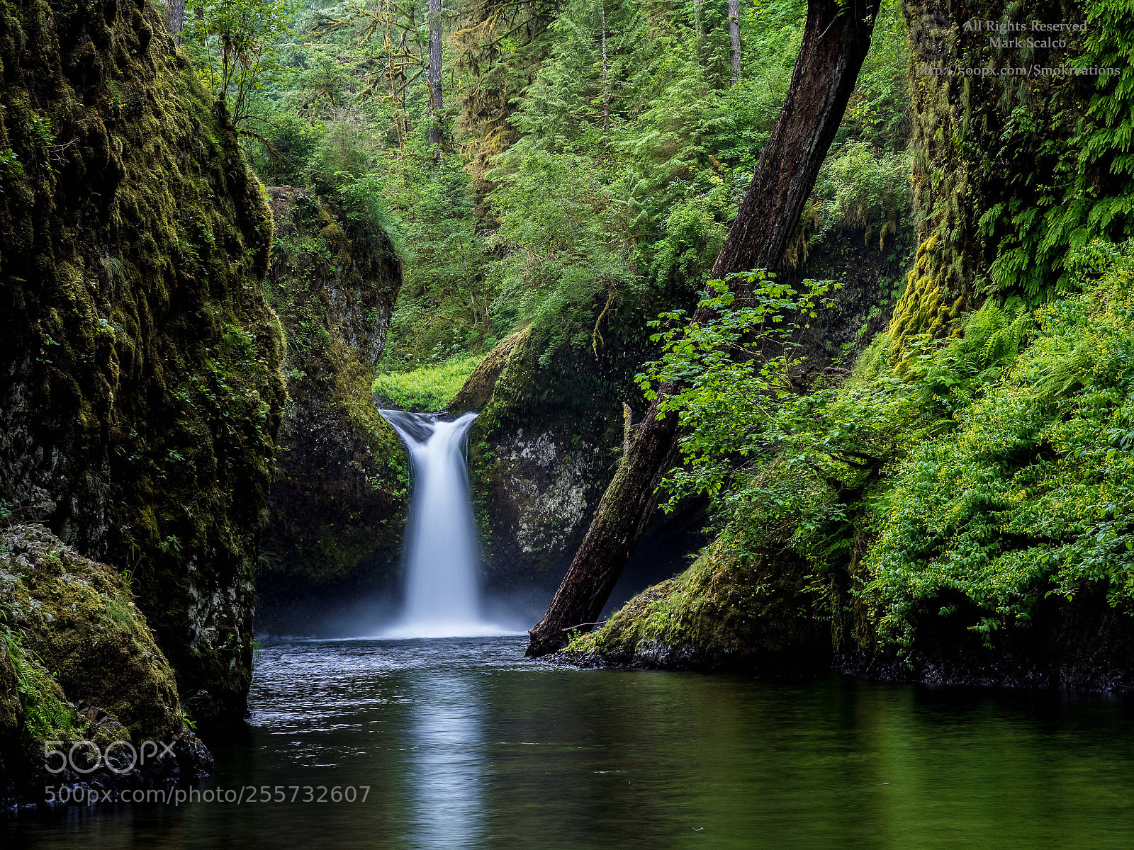 Olympus OM-D E-M1 sample photo. Punchbowl falls 2 photography