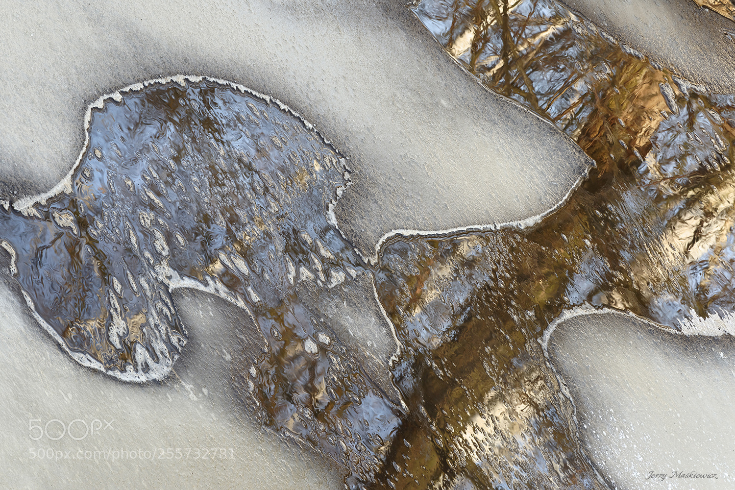 Nikon D610 sample photo. Reflection photography