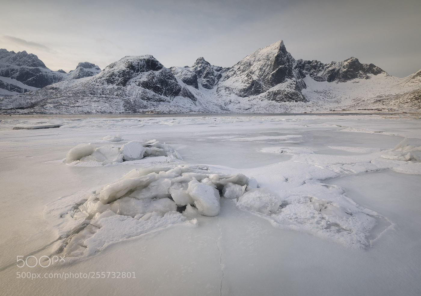 Canon EOS 5D Mark IV sample photo. Fjord of broken ice photography