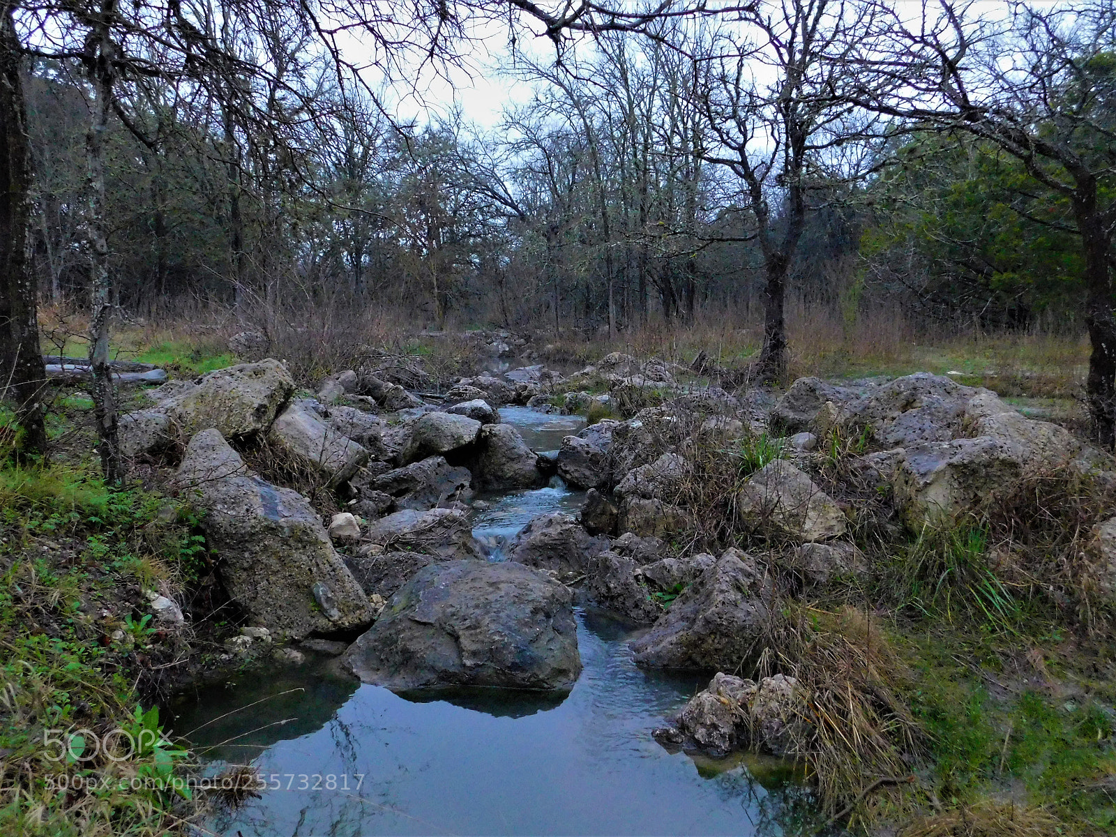 Nikon Coolpix B500 sample photo. () photography