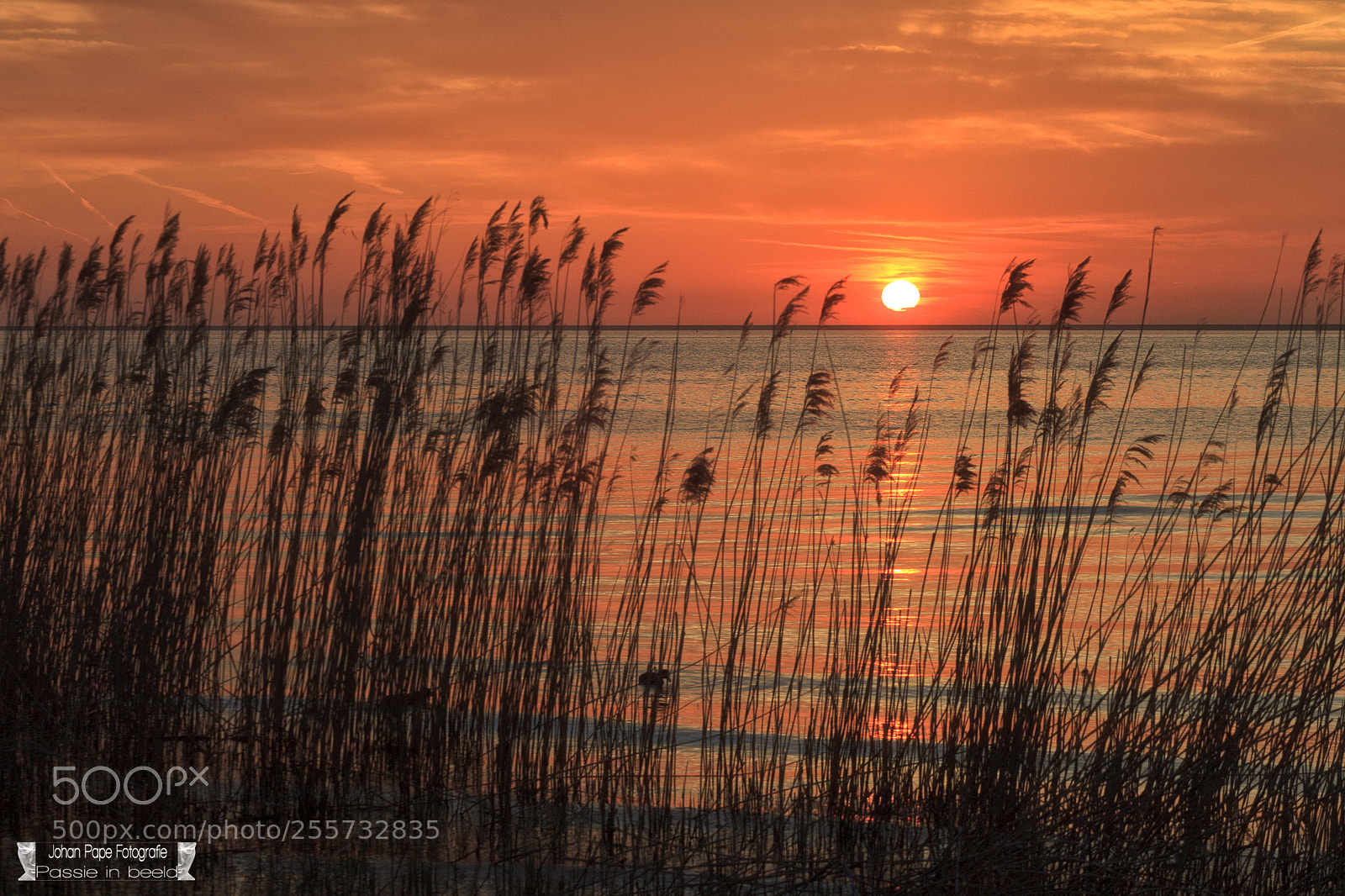 Canon EOS 5D Mark II sample photo. Sunset in makkum 2 photography