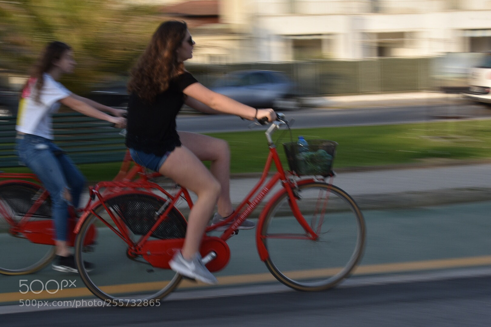 Nikon D7200 sample photo. Panning  photography