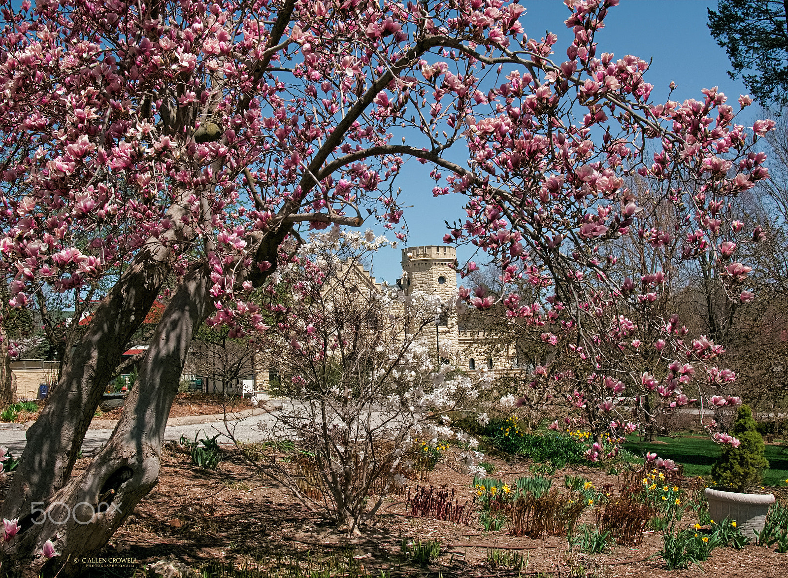 Panasonic Lumix DMC-GX85 (Lumix DMC-GX80 / Lumix DMC-GX7 Mark II) sample photo. Spring at joslyn castle photography