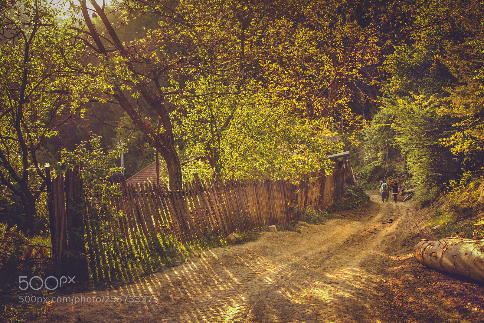Canon EOS 7D sample photo. Drumul photography