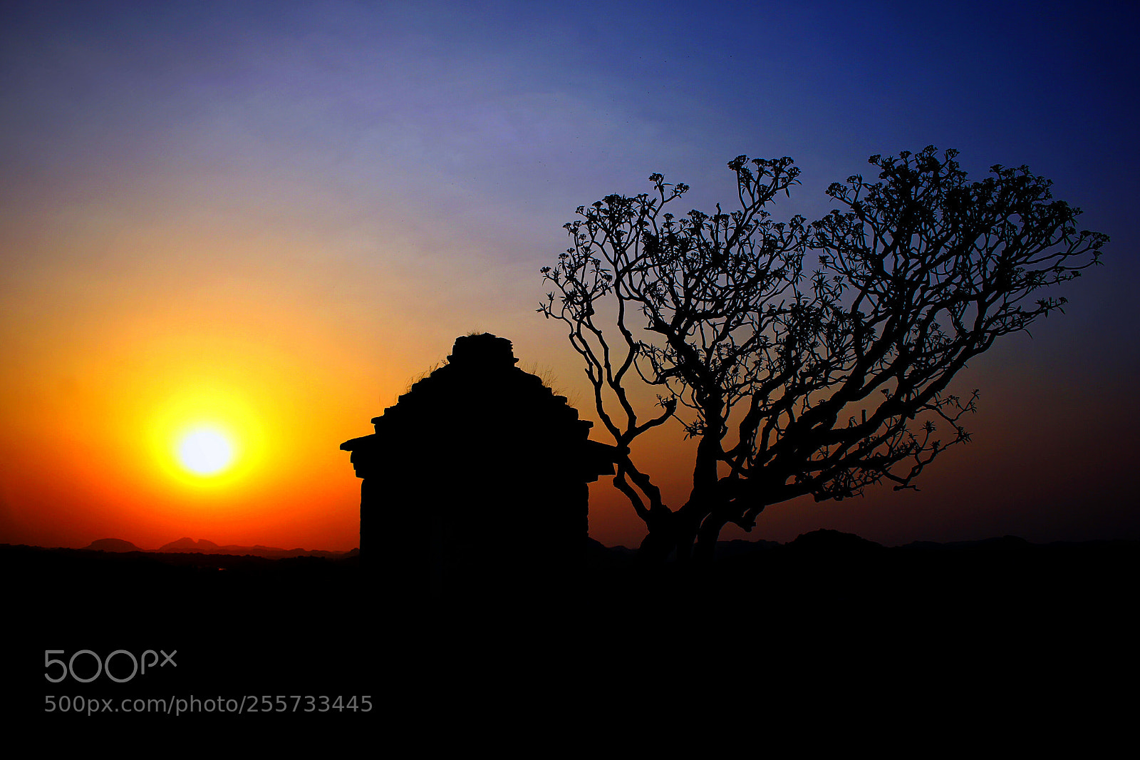 Canon EOS 60D sample photo. Untitled photography