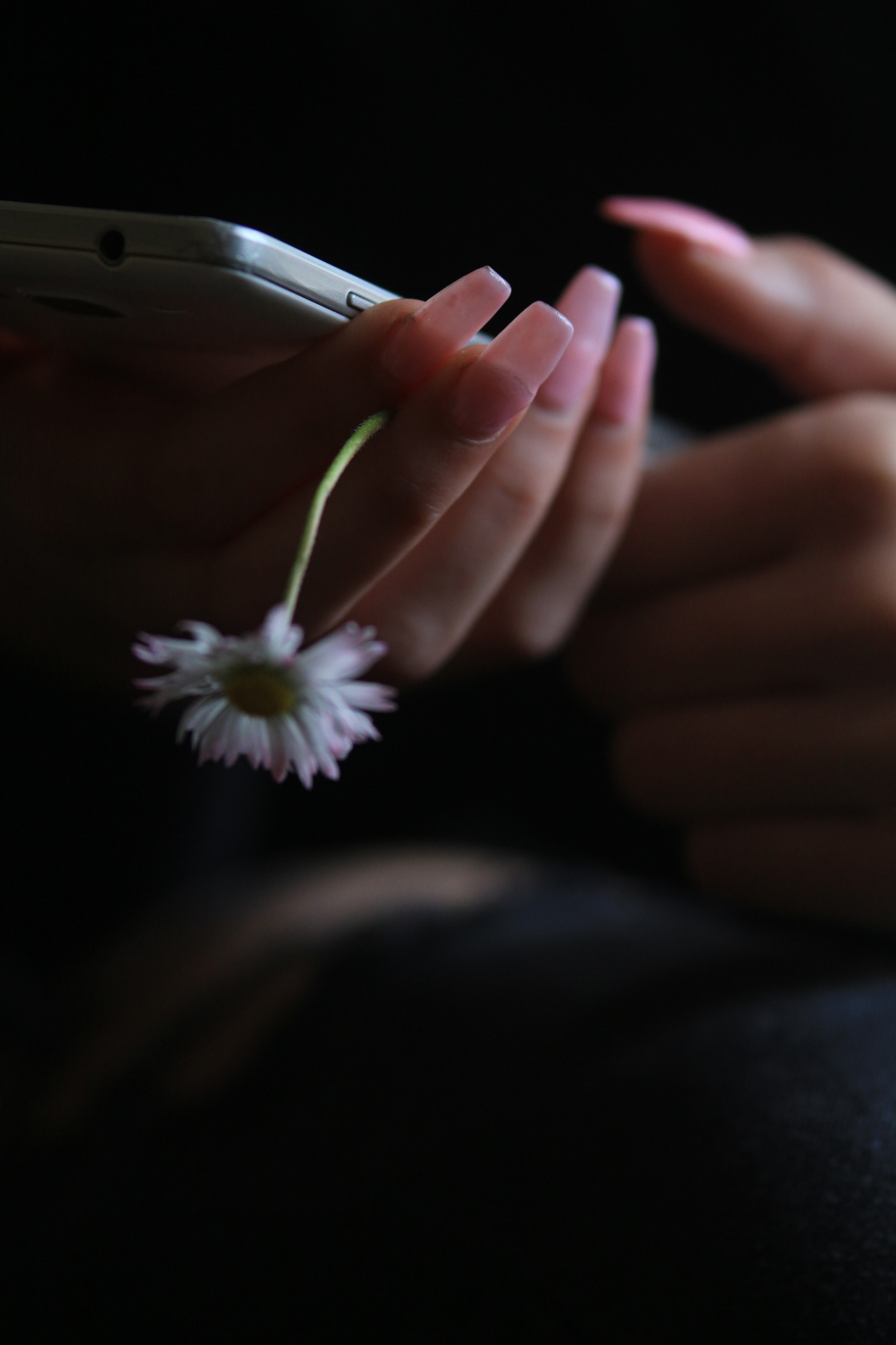 Canon EOS 700D (EOS Rebel T5i / EOS Kiss X7i) sample photo. Img photography