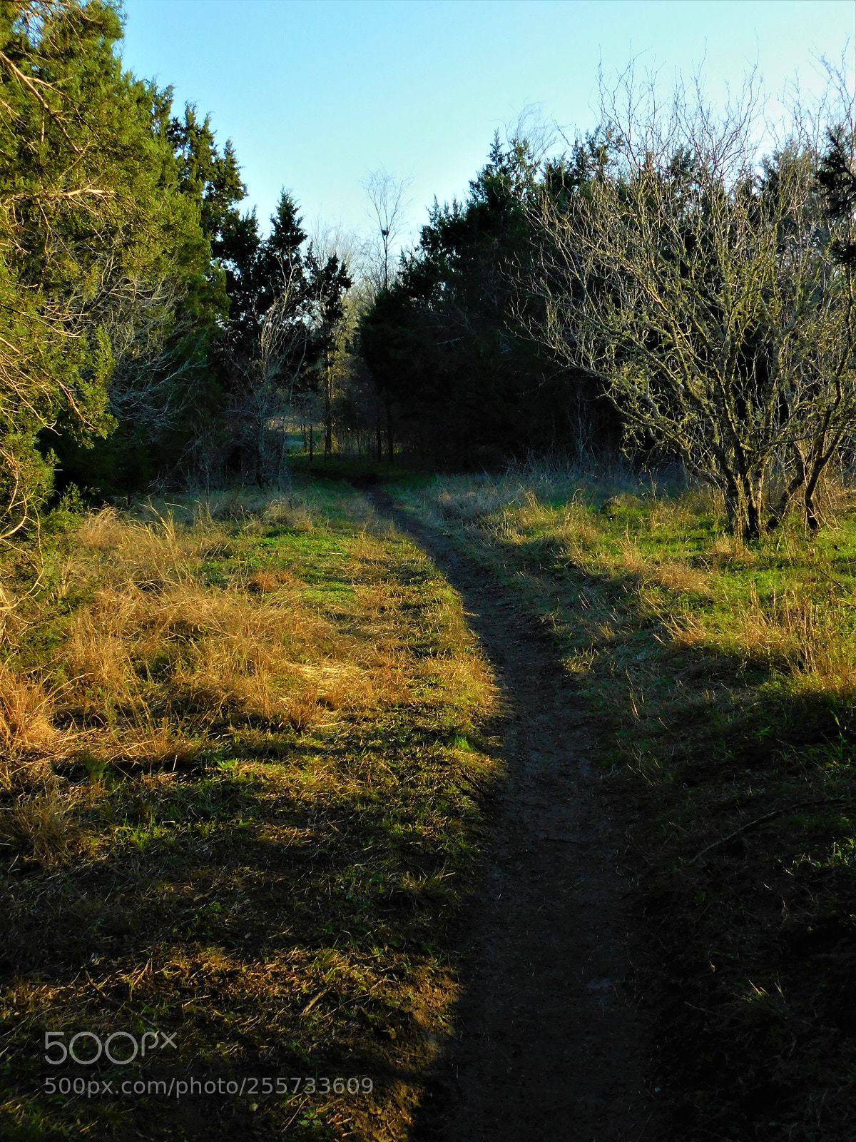 Nikon Coolpix B500 sample photo. () photography