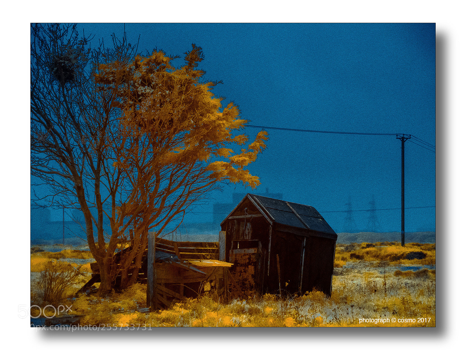Panasonic Lumix DMC-GX8 sample photo. Dungeness in the rain photography