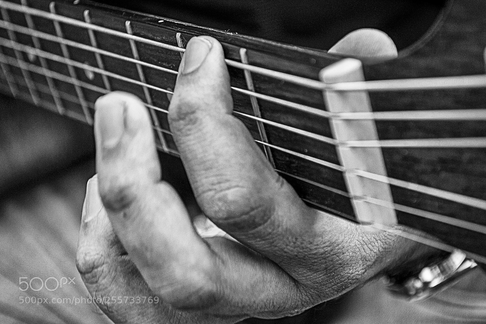 Nikon D3100 sample photo. Music photography