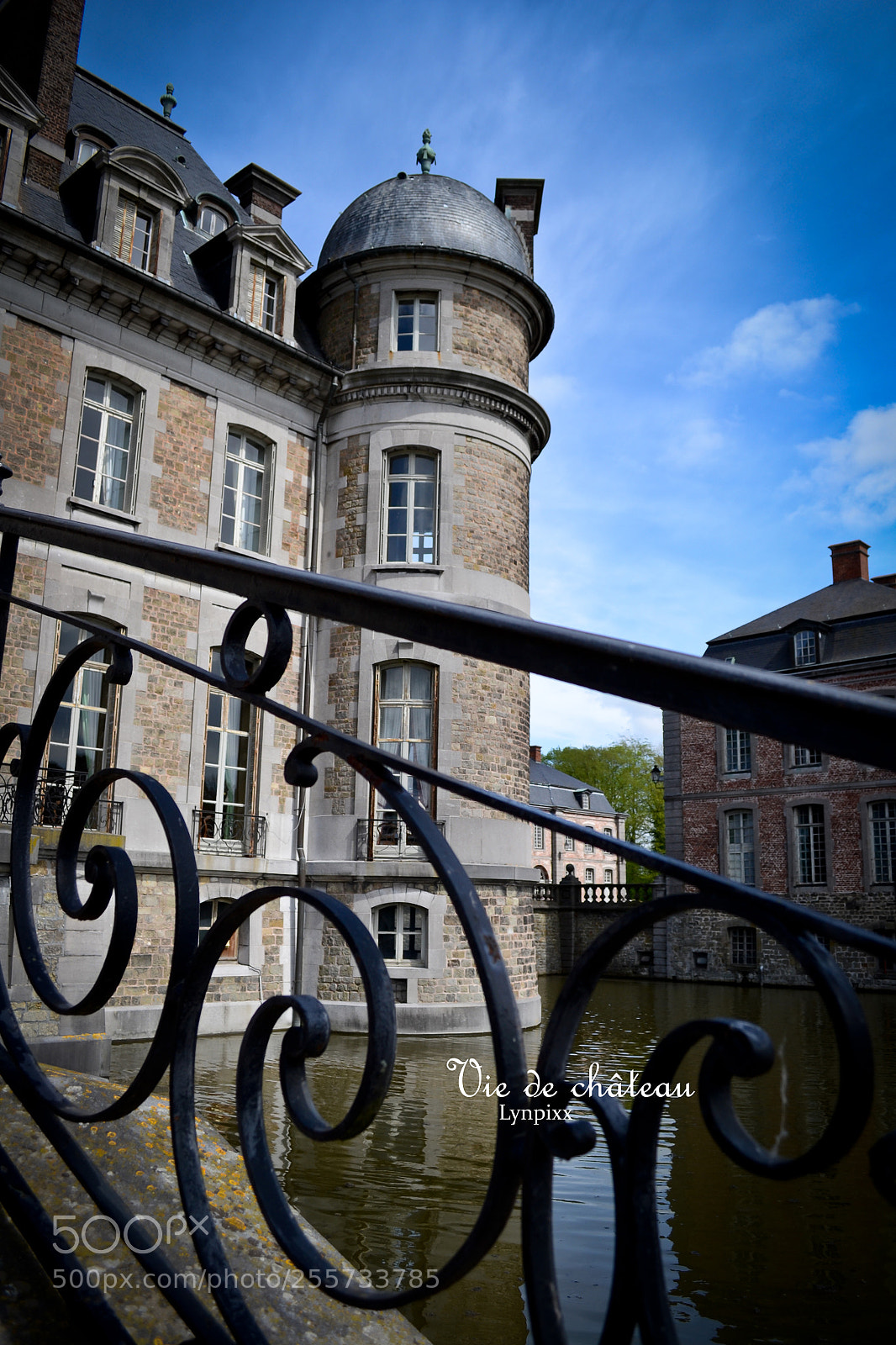 Nikon D3100 sample photo. Vie de château photography