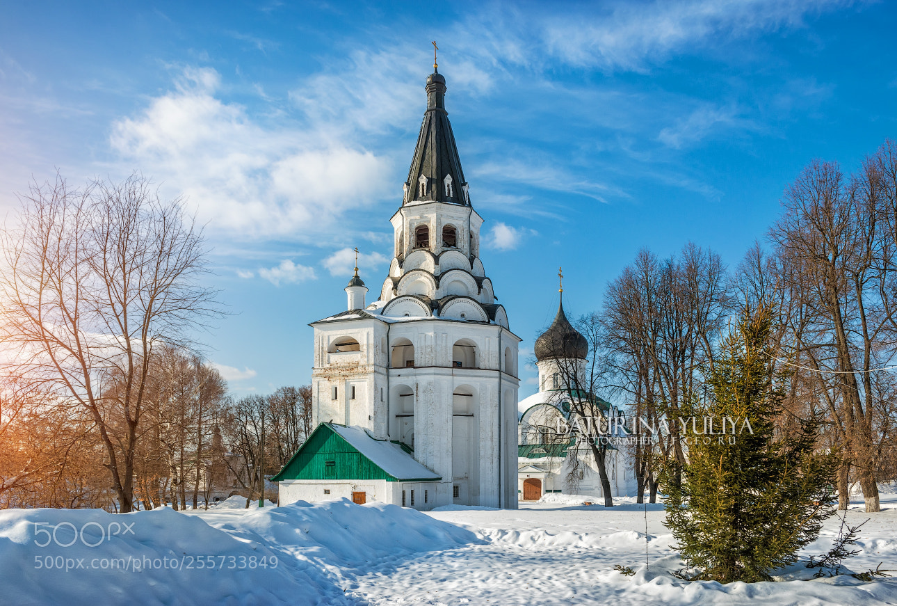 Nikon D800 sample photo. In the alexander sloboda photography