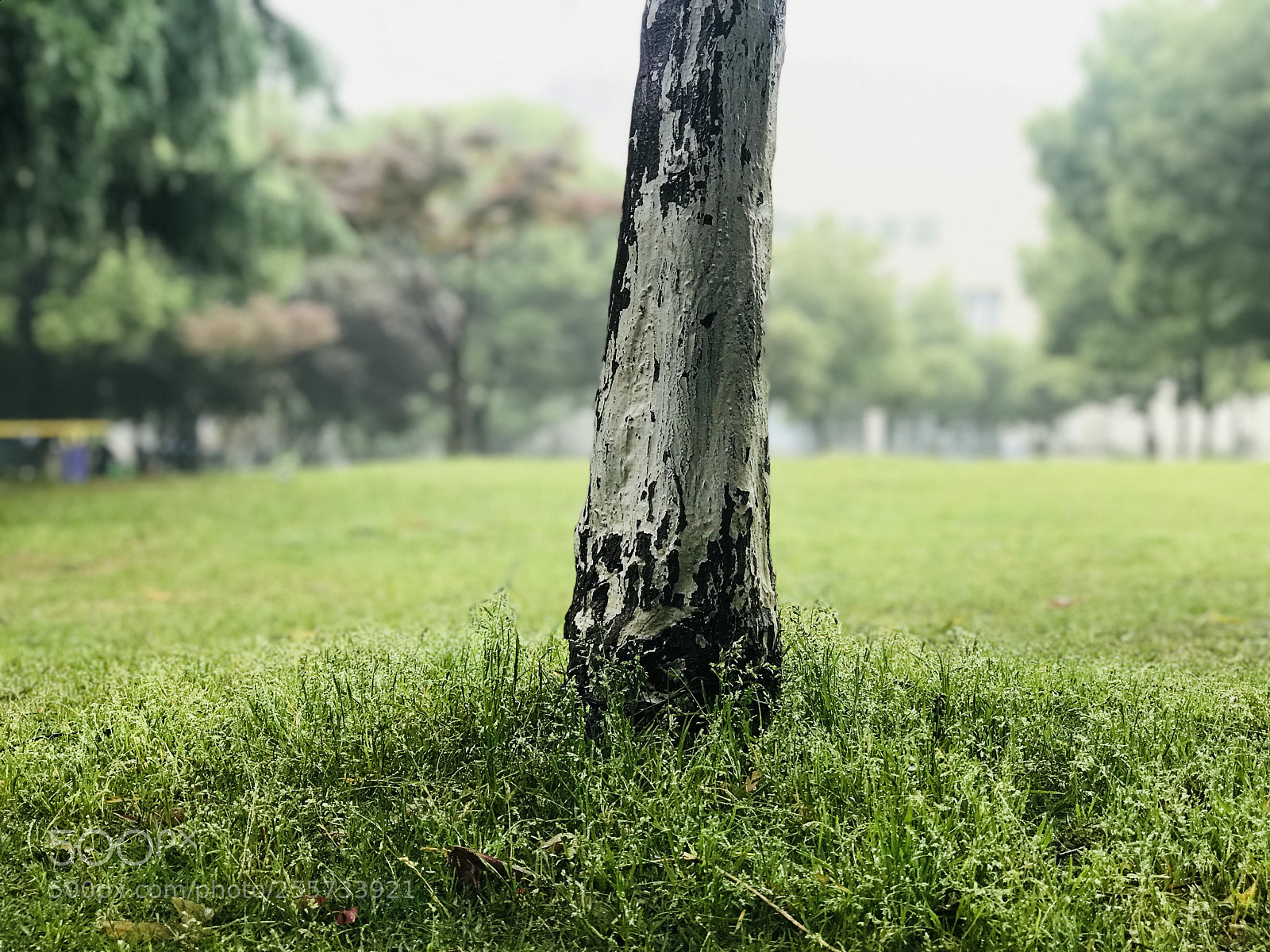 Apple iPhone 7 Plus sample photo. Untitled photography